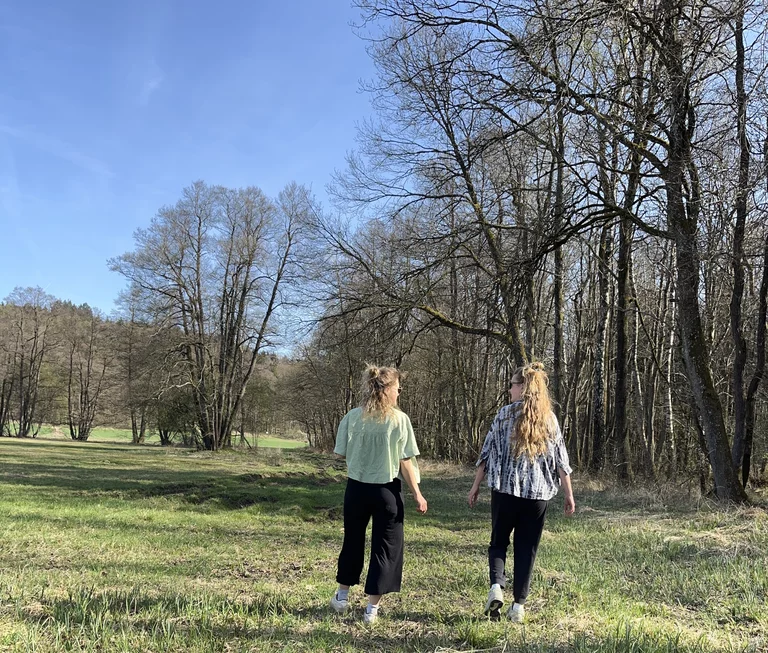 systemische Beratung in der Natur