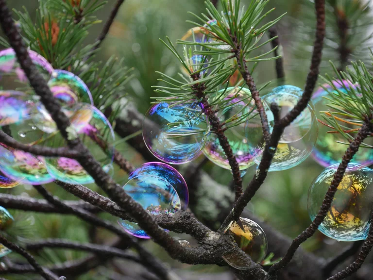 Seifenblasen in einem Baum