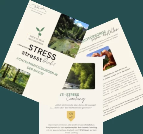 Vorschau zum Guide für mehr Wohlbefinden