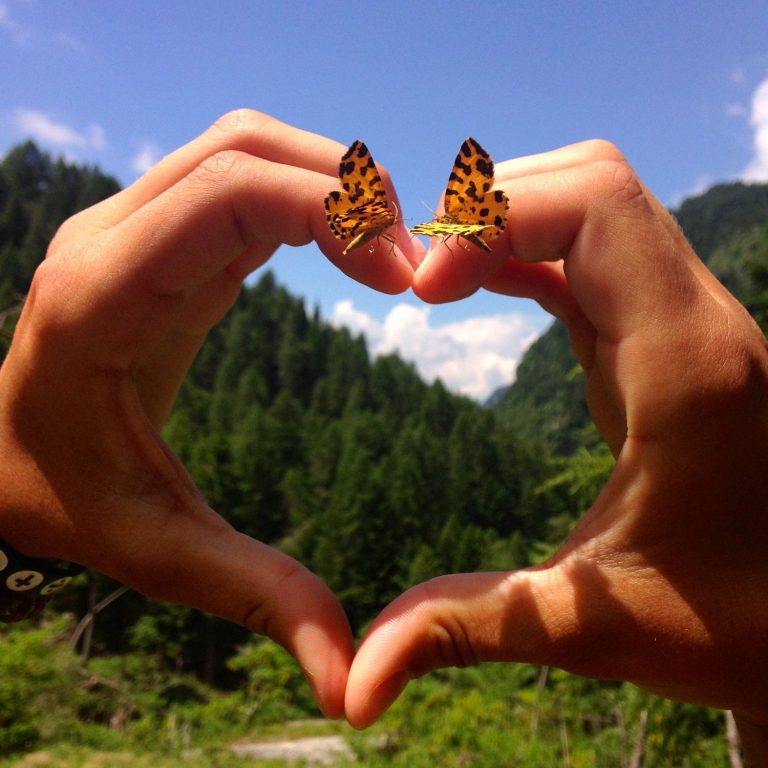 Beratung Draußen in der Natur