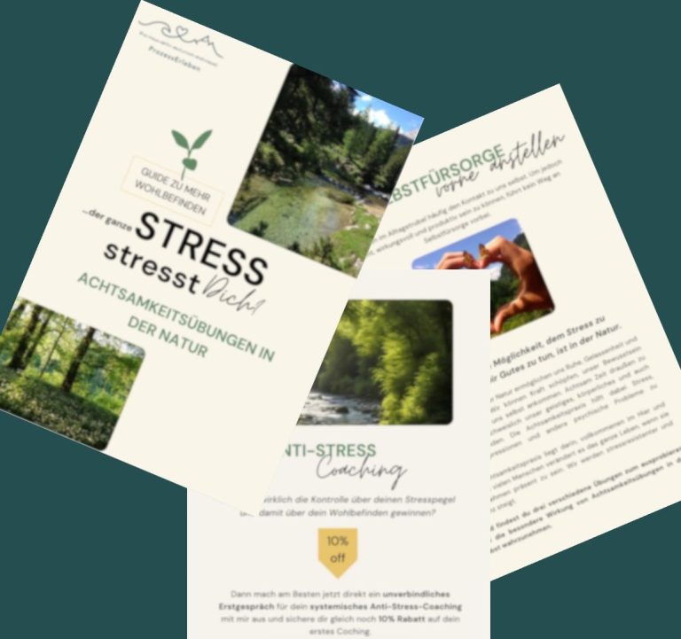 Anti-Stress-Guide Guide zu mehr Wohlbefinden