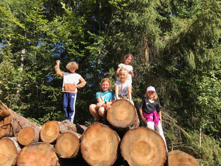 Angebot für Kinder & Jugendliche Spiel, Spaß und Abenteuer draußen in der Natur. Kinder auf Baumstämmen