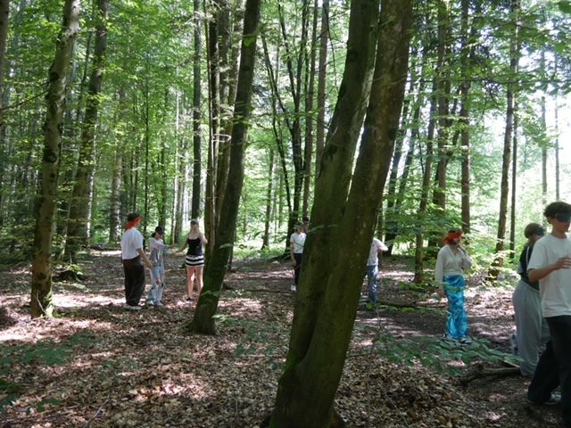 Schulen in der Natur Kinder in einem Wald bei einer Vertrauensübung